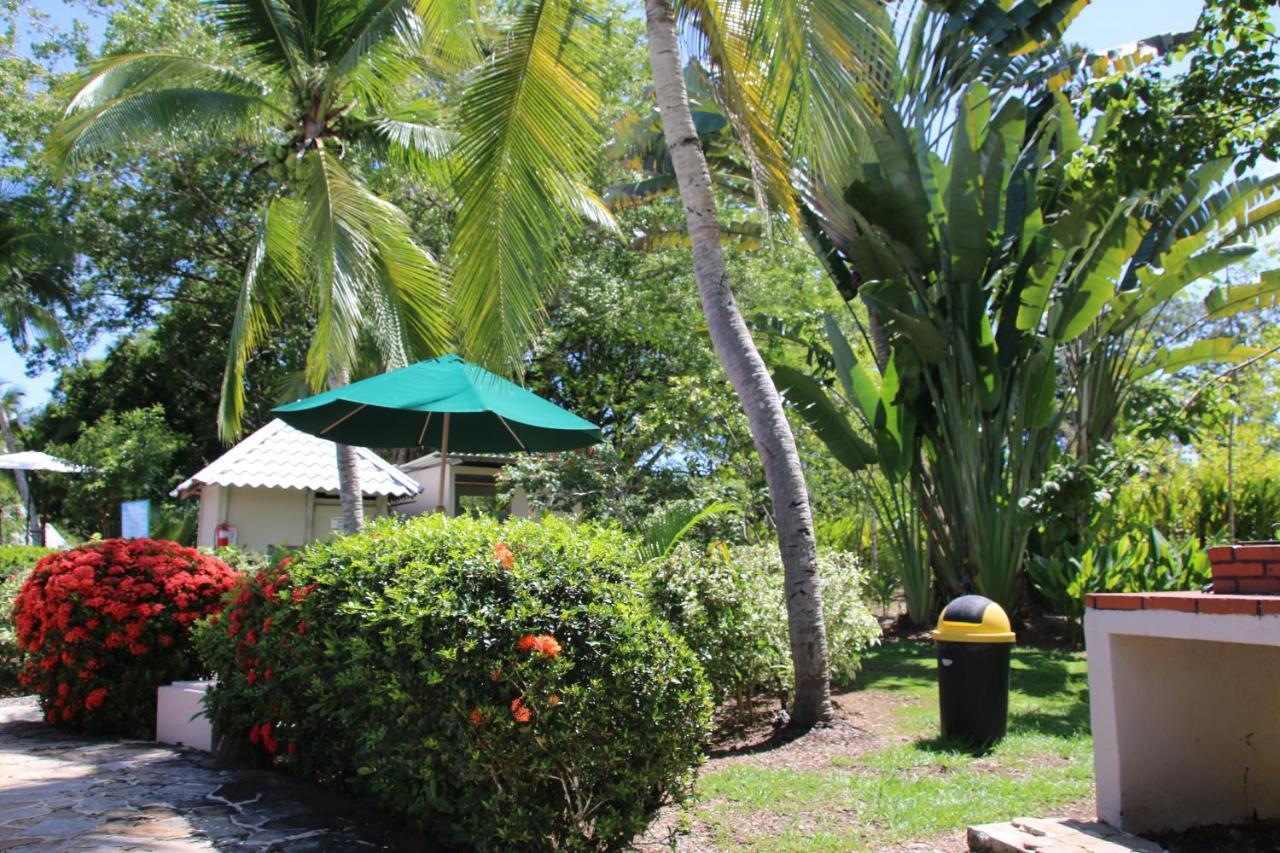 Apartmán Tropical Bliss Pool Wi-Fi Bbq Near Quepos Manuel Antonio Exteriér fotografie